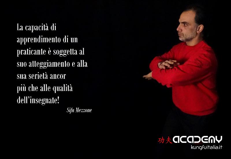 Kung Fu Academy Caserta di Sifu Salvatore Mezzone Accademia di Wing Chun e Tai Chi Quan (1)